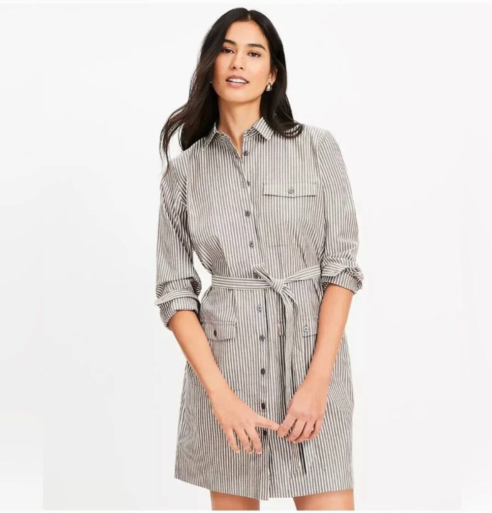 LOFT NWT Striped Belted Mini Pocket Shirtdress // 2